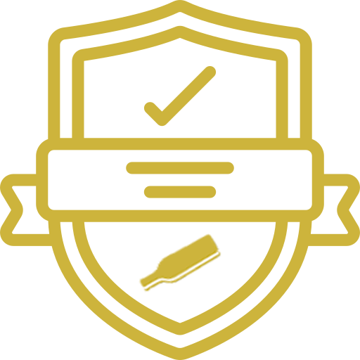 Seguridad icono